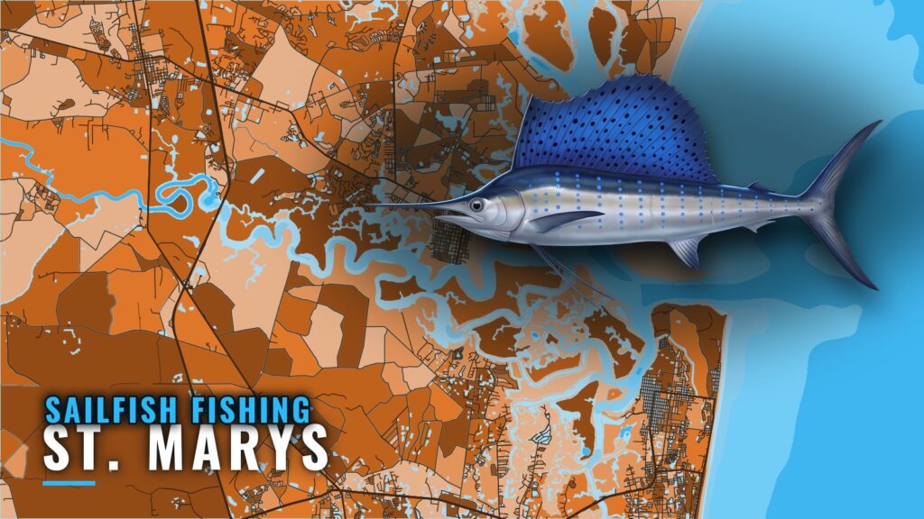 Sailfish Fishing Out of St. Marys: Reefs, Ledge, Season