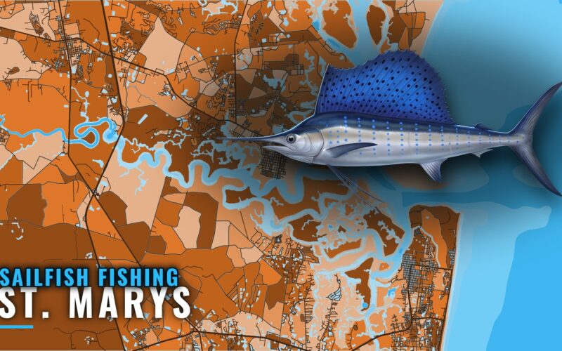 Sailfish Fishing Out of St. Marys: Reefs, Ledge, Season