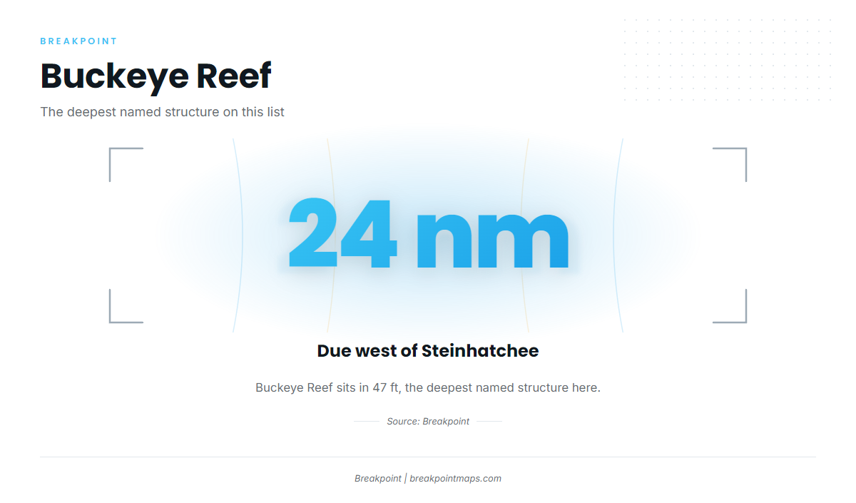 Buckeye Reef (Sailfish fishing out of Steinhatchee)