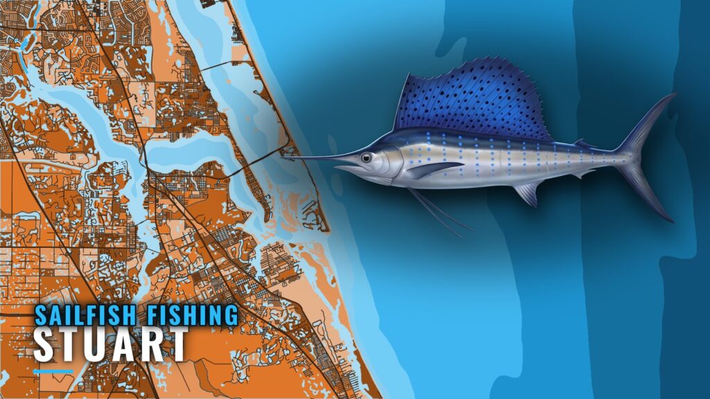 Sailfish Fishing Out of Stuart: Season, Depths and Grounds