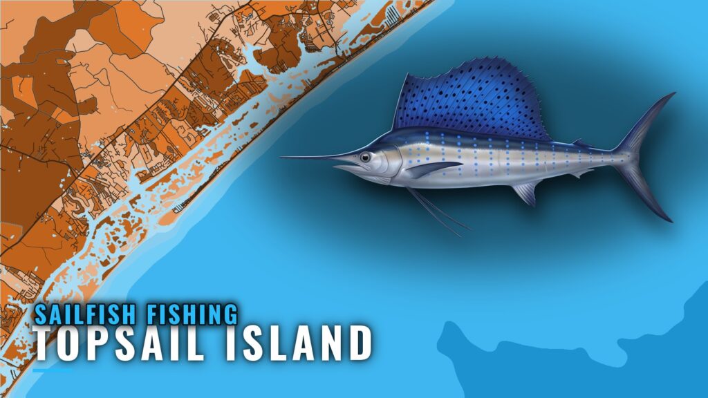 Sailfish fishing out of Topsail Island: what to expect