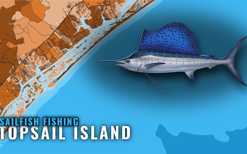 Sailfish fishing out of Topsail Island: what to expect