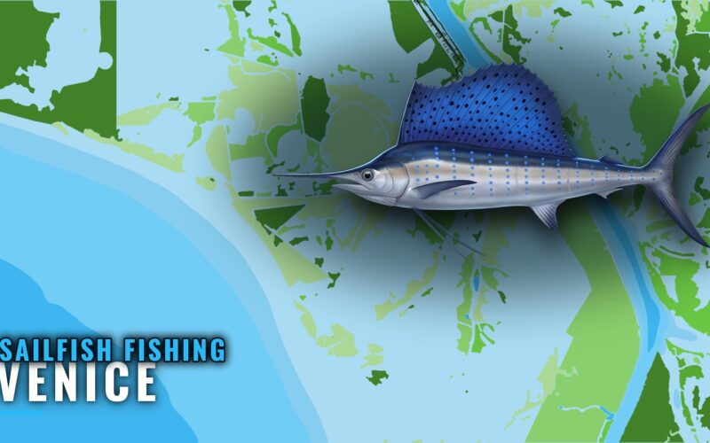 Sailfish Fishing Out of Venice: Lumps, Rigs and Canyons