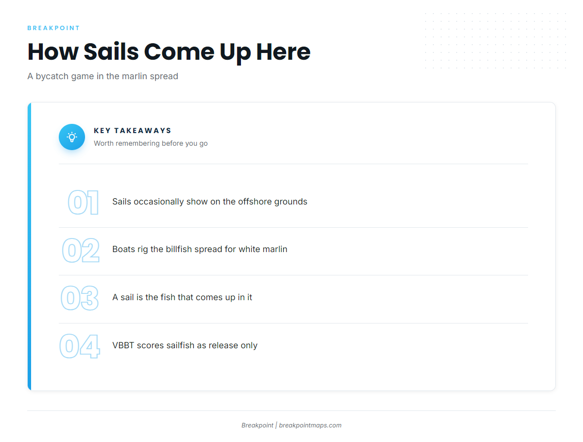 How sailfish are fished here