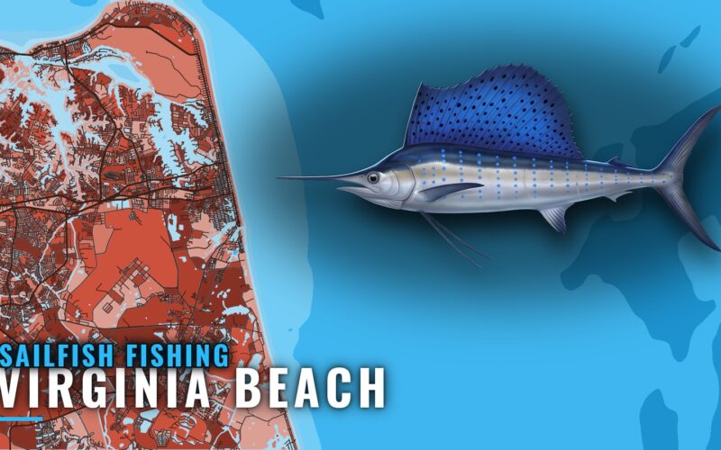 Sailfish Fishing Out of Virginia Beach: Grounds and Runs