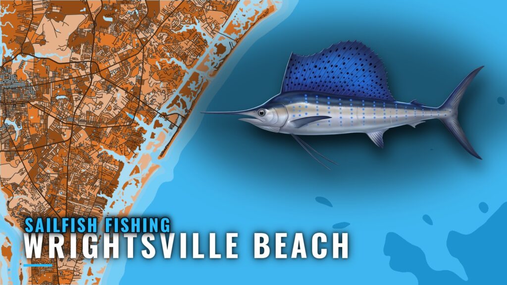 Sailfish Fishing Out of Wrightsville Beach: Season and Runs
