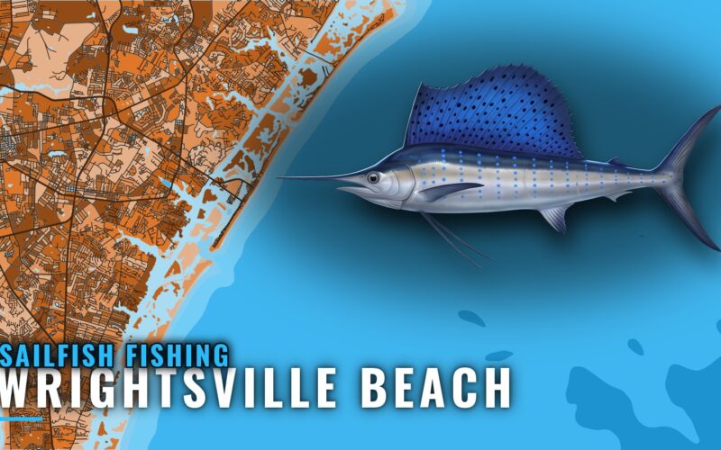 Sailfish Fishing Out of Wrightsville Beach: Season and Runs