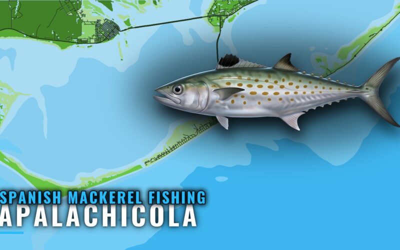 Spanish Mackerel Fishing Out of Apalachicola: Where to Run