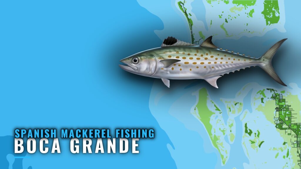 Spanish mackerel fishing out of Boca Grande: reef numbers