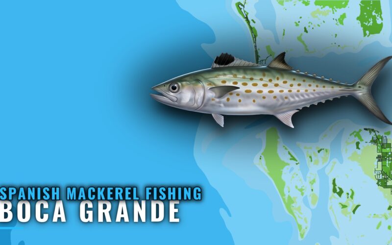 Spanish mackerel fishing out of Boca Grande: reef numbers