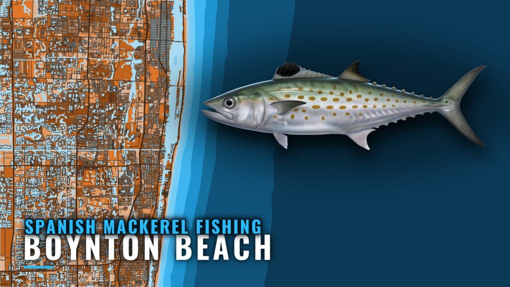 Spanish Mackerel Fishing Out of Boynton Beach: 5 Grounds