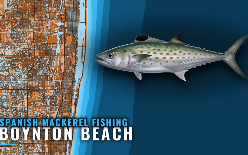 Spanish Mackerel Fishing Out of Boynton Beach: 5 Grounds