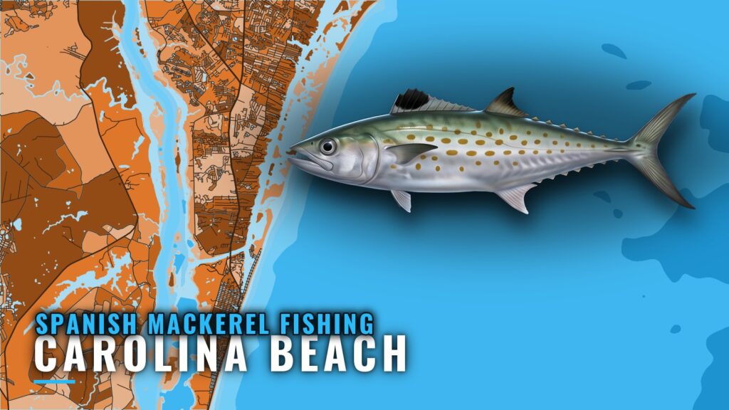 Spanish Mackerel Fishing Out of Carolina Beach, NC