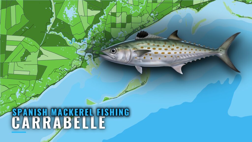 Spanish mackerel fishing out of Carrabelle: reefs and runs