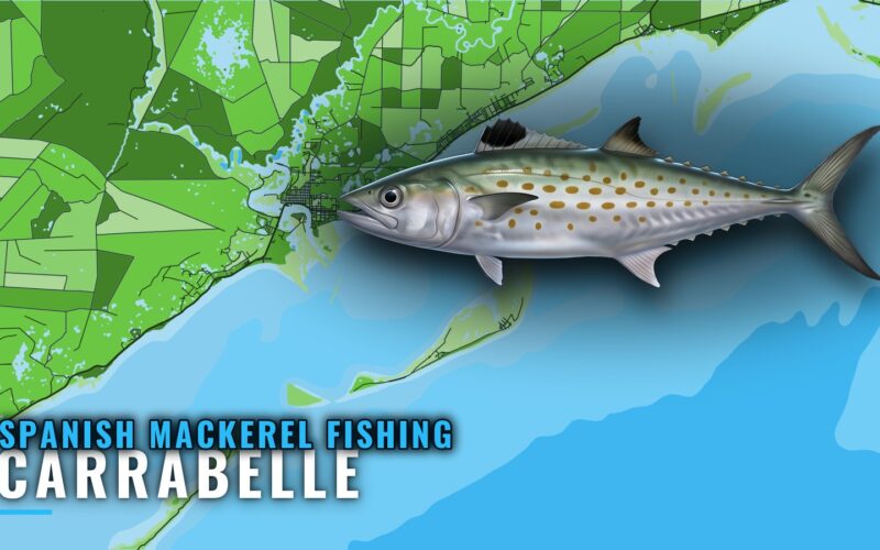 Spanish mackerel fishing out of Carrabelle: reefs and runs