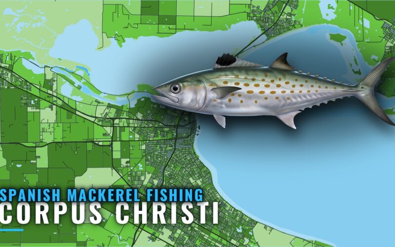 Spanish Mackerel Fishing Out of Corpus Christi: Reefs, Rigs