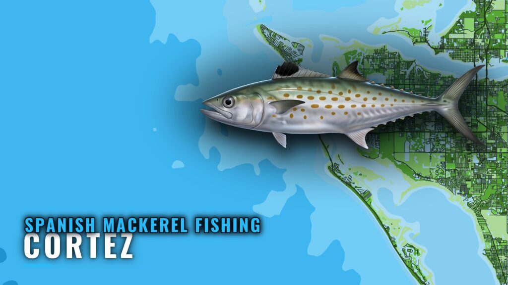 Spanish Mackerel Fishing Out of Cortez: Reefs and Bearings