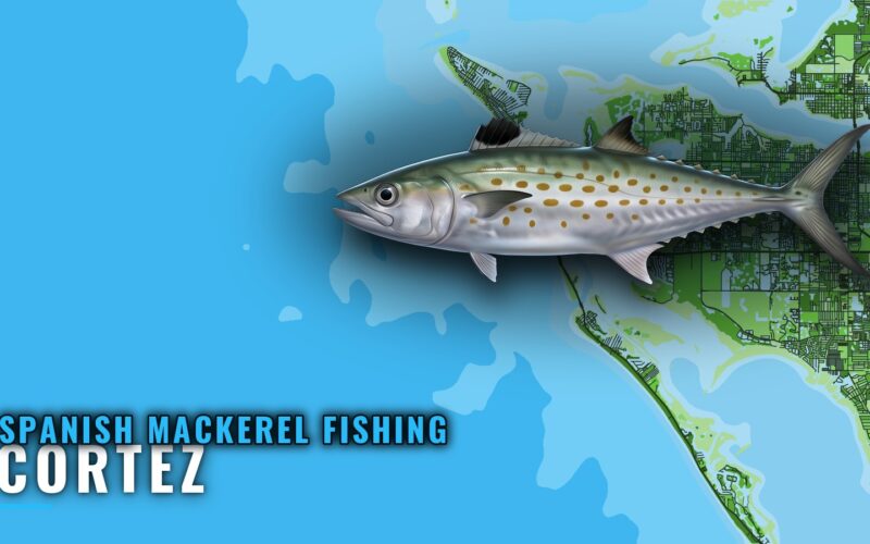 Spanish Mackerel Fishing Out of Cortez: Reefs and Bearings