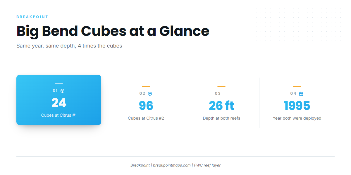 Nearshore Big Bend cubes