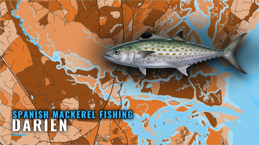 Spanish Mackerel Fishing Out of Darien: Grounds and Timing