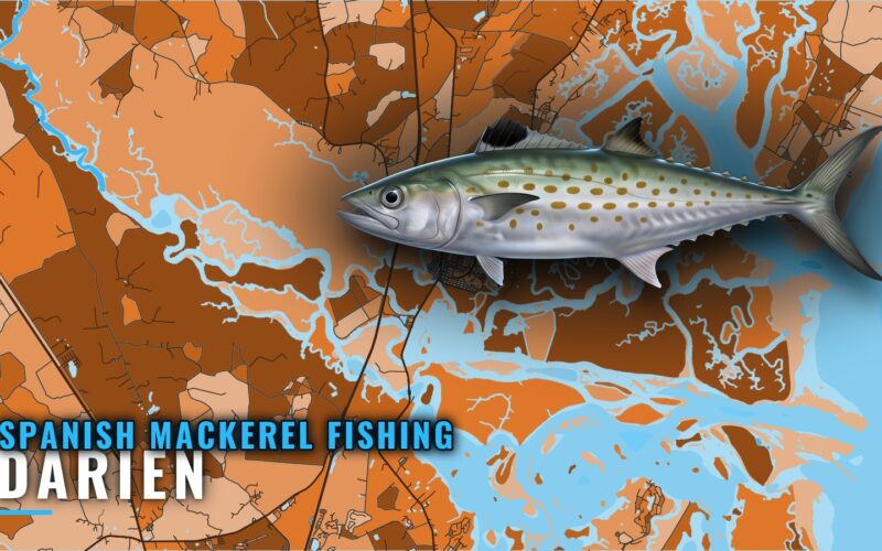 Spanish Mackerel Fishing Out of Darien: Grounds and Timing