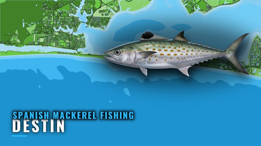 Spanish mackerel fishing out of Destin: where boats run