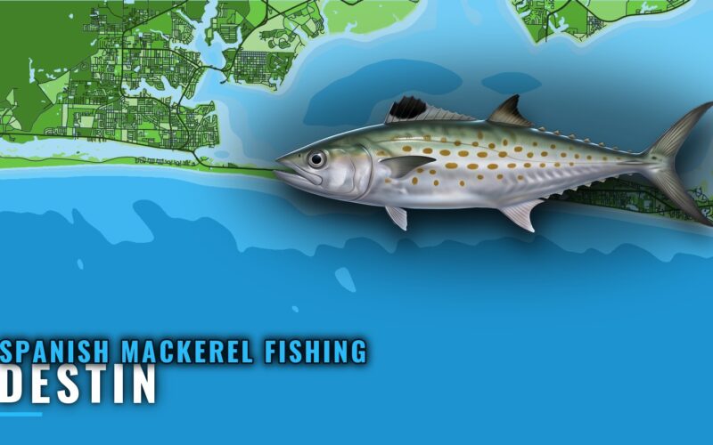 Spanish mackerel fishing out of Destin: where boats run