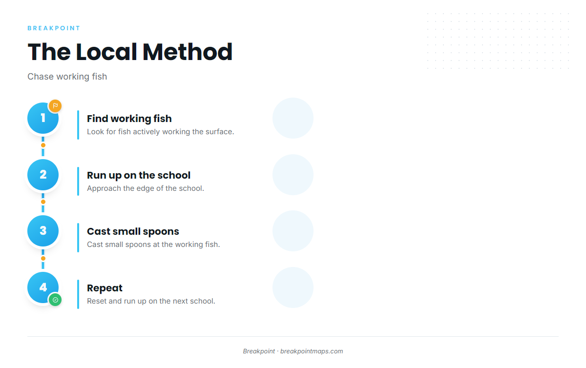How Spanish mackerel are fished here
