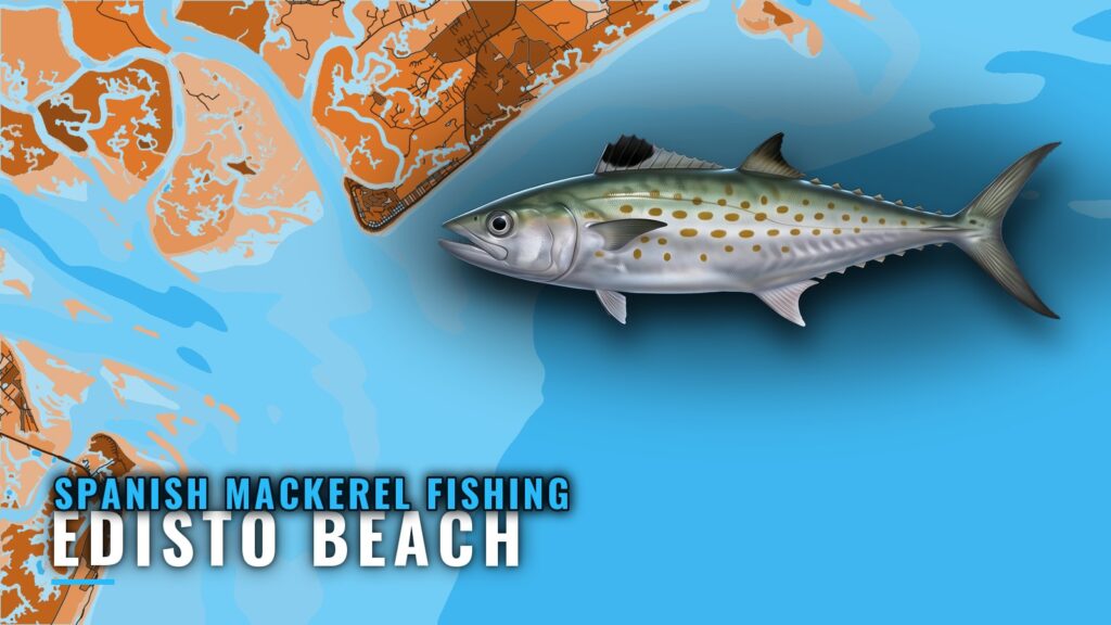 Spanish Mackerel Fishing Out of Edisto Beach: Reef Guide