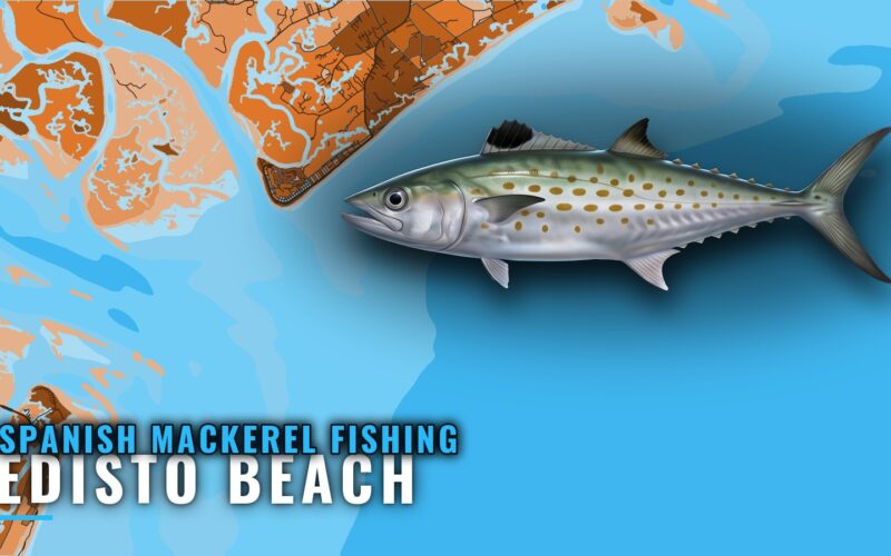 Spanish Mackerel Fishing Out of Edisto Beach: Reef Guide