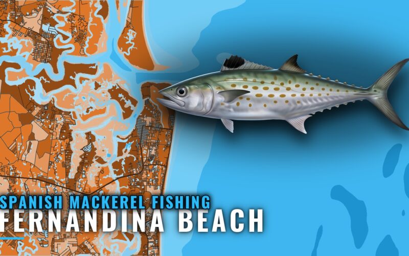 Spanish Mackerel Fishing Out of Fernandina Beach, Mapped