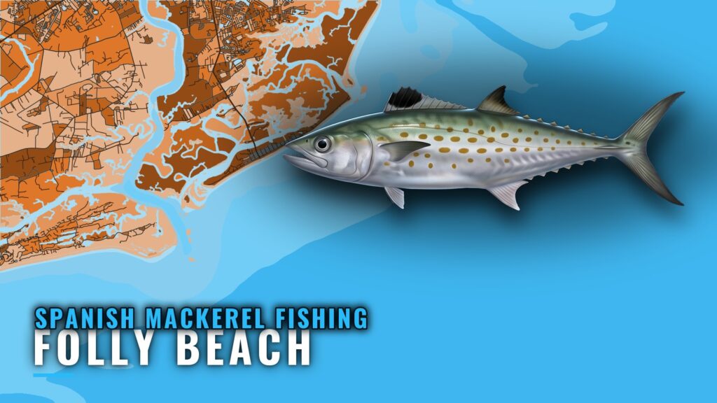 Spanish Mackerel Fishing Out of Folly Beach: Where to Run
