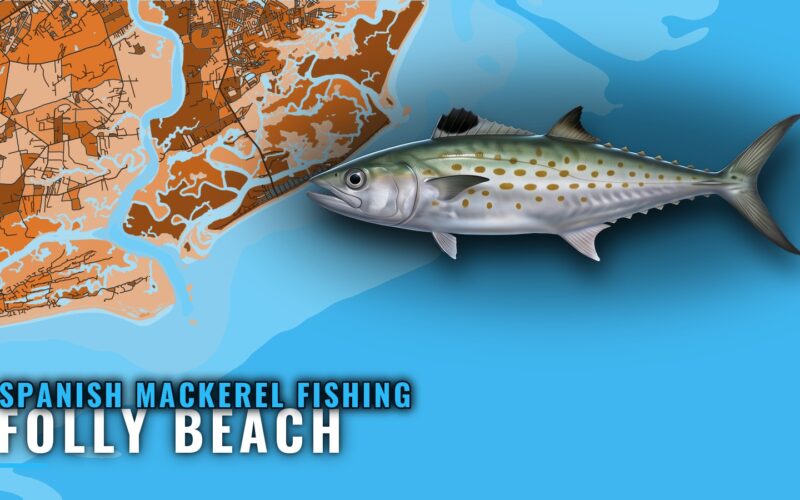 Spanish Mackerel Fishing Out of Folly Beach: Where to Run