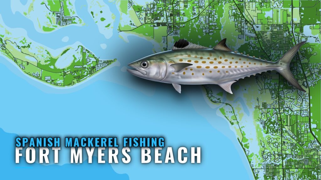 Spanish mackerel fishing out of Fort Myers Beach: 6 reefs