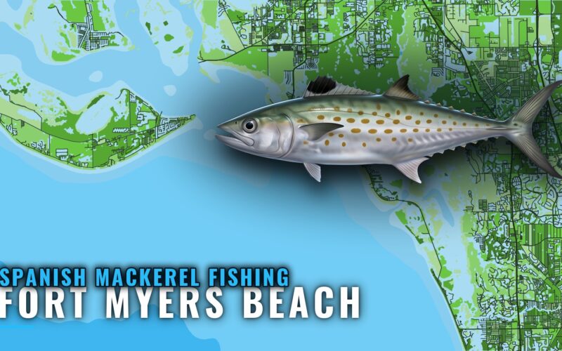 Spanish mackerel fishing out of Fort Myers Beach: 6 reefs
