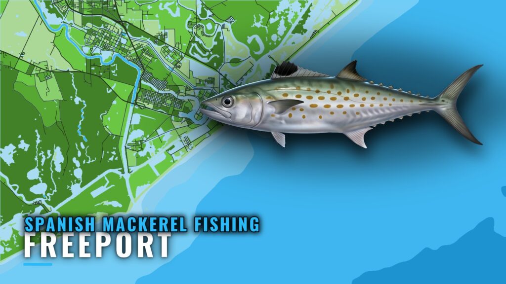 Spanish Mackerel Fishing Out of Freeport: Reefs and Runs