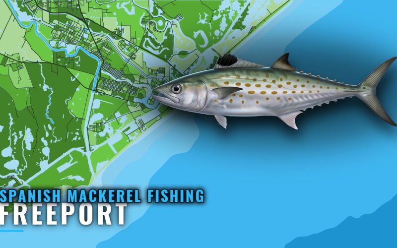 Spanish Mackerel Fishing Out of Freeport: Reefs and Runs