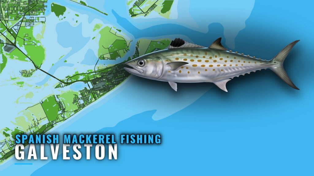 Spanish mackerel fishing out of Galveston: jetties to reefs