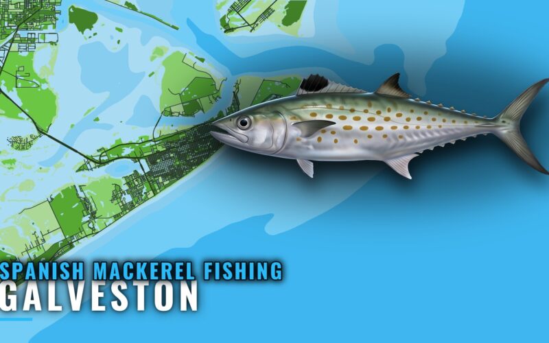 Spanish mackerel fishing out of Galveston: jetties to reefs