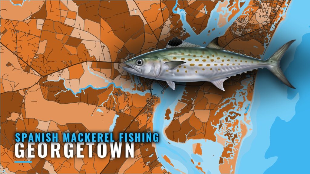 Spanish Mackerel Fishing Out of Georgetown: Where to Look
