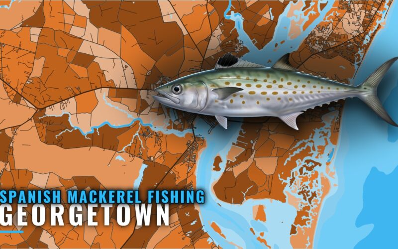 Spanish Mackerel Fishing Out of Georgetown: Where to Look