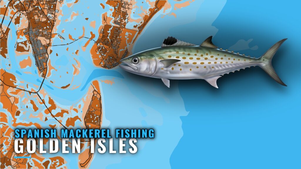 Spanish Mackerel Fishing out of Golden Isles: Reefs, Runs