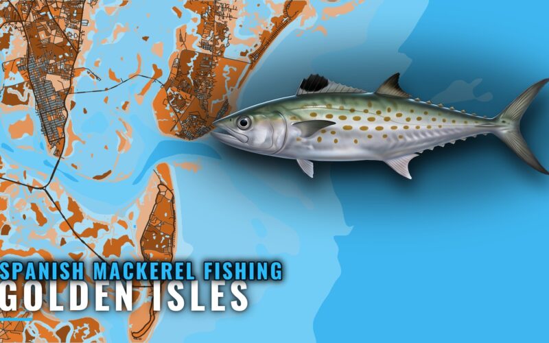 Spanish Mackerel Fishing out of Golden Isles: Reefs, Runs