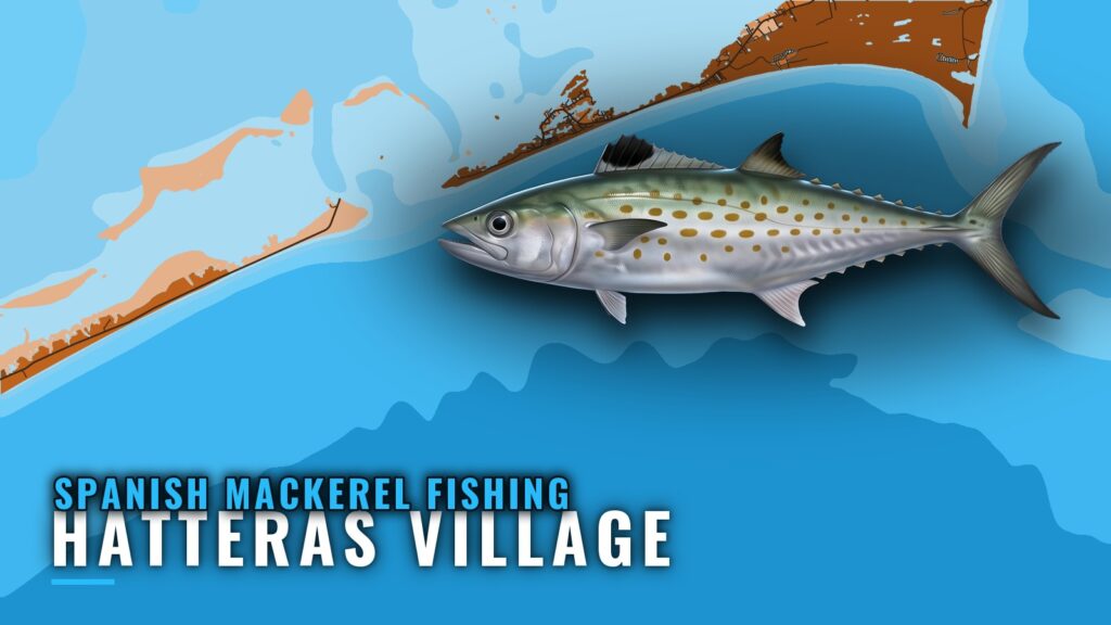 Spanish Mackerel Fishing Out of Hatteras Village