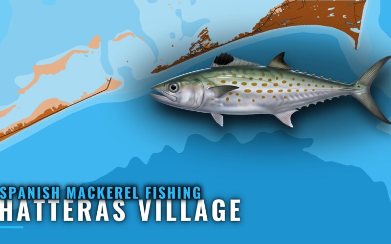 Spanish Mackerel Fishing Out of Hatteras Village