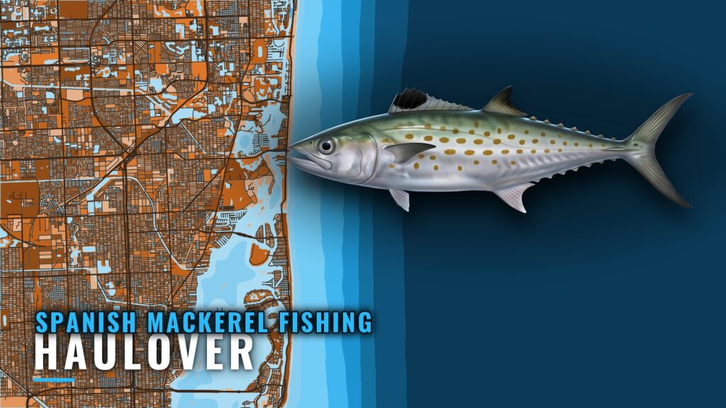 Spanish mackerel fishing out of Haulover: grounds and runs