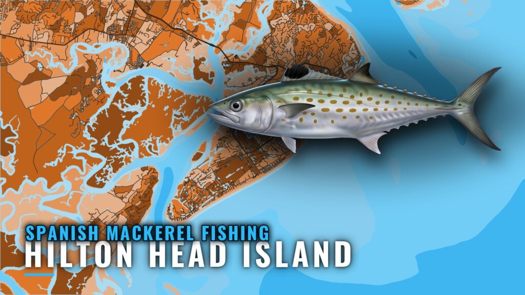 Spanish Mackerel Fishing Out of Hilton Head Island: Reefs