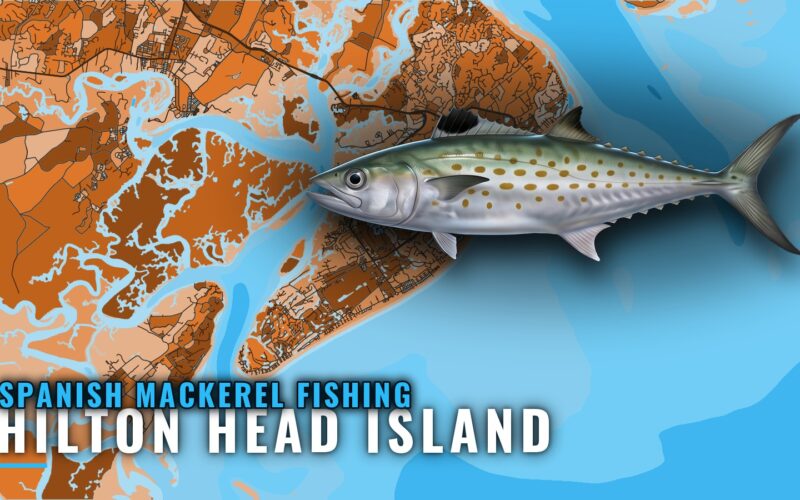 Spanish Mackerel Fishing Out of Hilton Head Island: Reefs