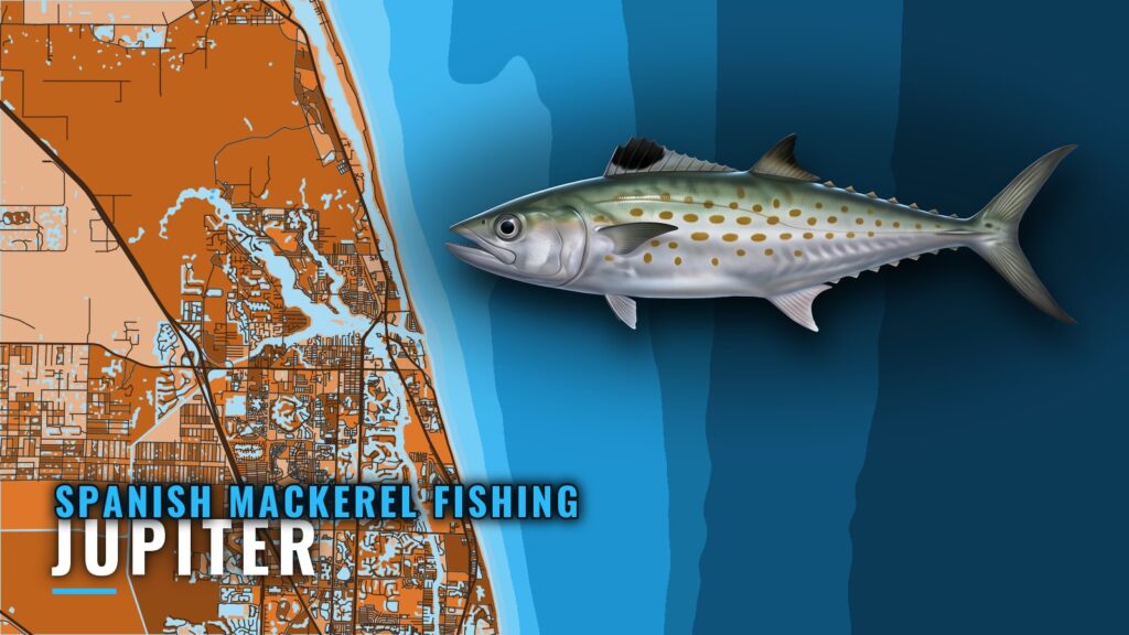 Spanish Mackerel Fishing Out of Jupiter: Pier and Reefs