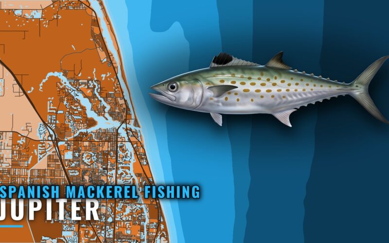 Spanish Mackerel Fishing Out of Jupiter: Pier and Reefs